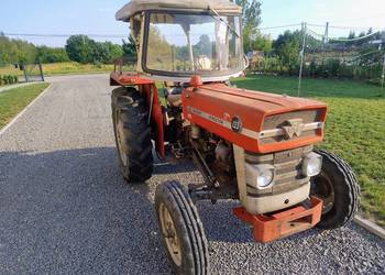 Massey Ferguson 133 nie 255