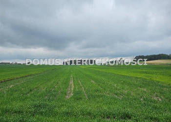Działka Chociszew 4700m2