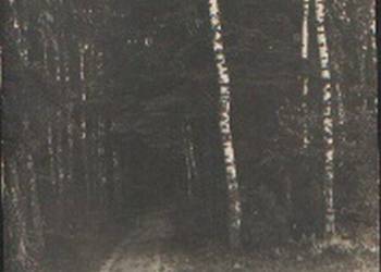 K. Poczt. Droga w lesie **