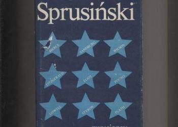 Zwycięscy i pokonani - Michał Sprusiński