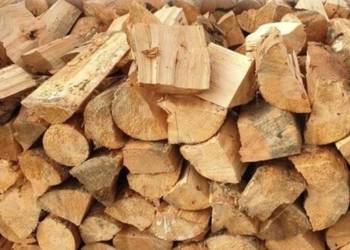 Drewno Kominkowe I Gałęziówka Buk Dąb Grab Brzoza Sosna Jesion SEZONOWANE