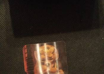 Naklejka 3D tygrys. Kung fu panda
