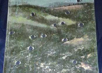 Ślady rysich pazurów - Wanda Żółkiewska