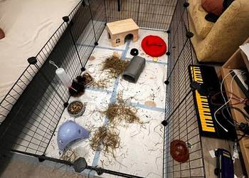 Metalowy wybieg dla małych zwierząt DIY czarny