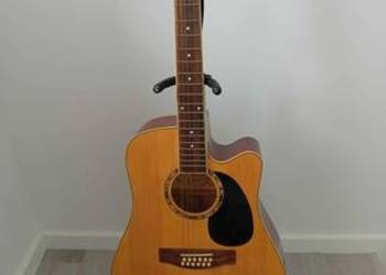 Gitara 12 strunowa