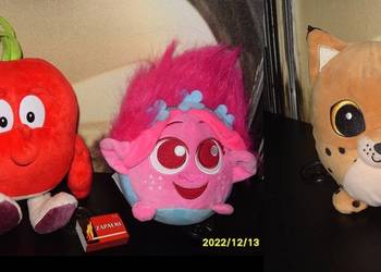 _Rzodkiewka Żaneta _Poppy _Ryś _Nowe pluszaki_