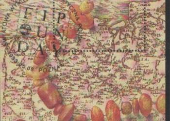 Zn. Fi bl. 107 kas  1993