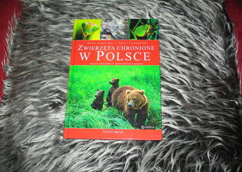 Zwierzęta chronione w Polsce (KSIĄŻKA)
