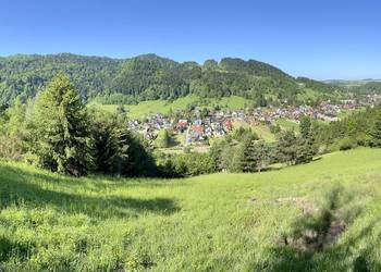 Działka rolna / rekreacyjna Krościenko nad Dunajcem Pieniny