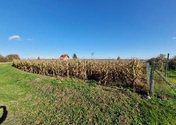 Syndyk sprzeda udział 1/2 w nieruchomości gruntowej Lubstów, dz. nr 238