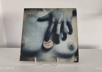 Płyty Winylowe Bardzo Duża ilość