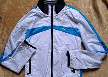 Kurtka wiatrówka Puma S/M