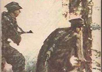 ŻÓŁTY TYGRYS - KRYPTONIM POMORZE - JANISŁAWSKI M.A. ŻÓŁTY TYGRYS - KRYPTONIM POMORZE - JANISŁAWSKI M.A.