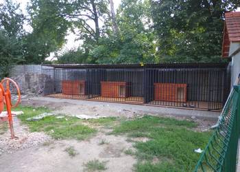 A135 Kojec dla Psa 4x2 , Kojce | dowolne rozmiary | DLA PSA | - ESSTAL