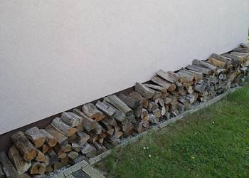 Drewno pociete debina pozostalosc po zimie