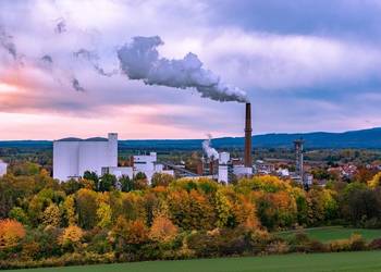 Raport Kobize, Jelenia Góra, Siedlce, Konin, Piotrków Trybunalski,Mysłowice