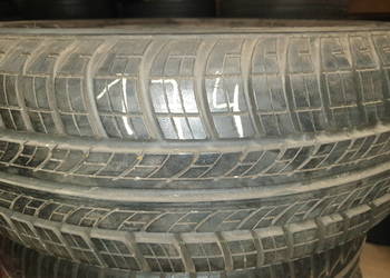 Opona Continental Conti Ecocontact Ep 195/65R15