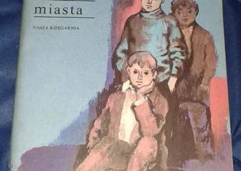 Chłopcy z ulic miasta - Halina Górska