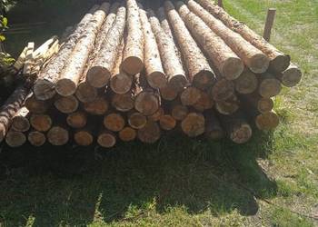 Sprzedam 13zl za sztukę