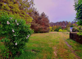 Zamieszkaj w leśnej ciszy - działka budowlana z mediami