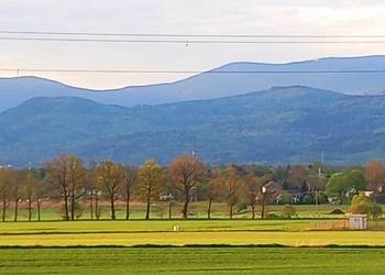 Sprzedam ziemie