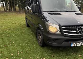 Sprinter