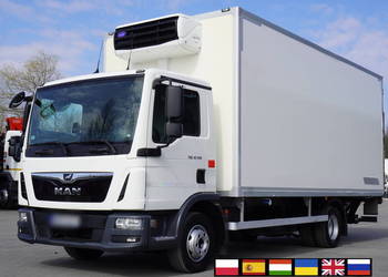 MAN TGL 12.190 / Zabudowa chłodnia 14 EPAL/Carrier Xarios 500/3 szt._241911