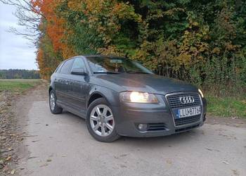 Audi A3 8p 2004r 1.9 TDI