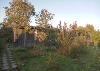 Prawo dzierżawy działki ROD