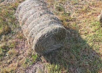Sprzedam siano bale 50x70
