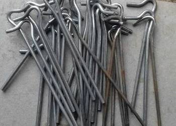 Śledzie do przedsionków Isabela Ambasador.