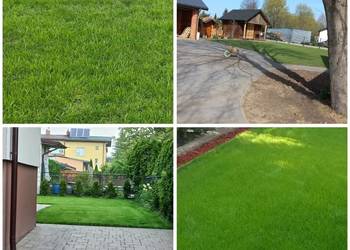 ZAKŁADANIE TRAWNIKA SIECIECHÓW SIEW TRAWY