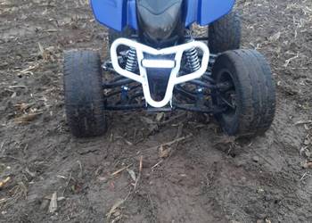 quad atv eagle bashan 250