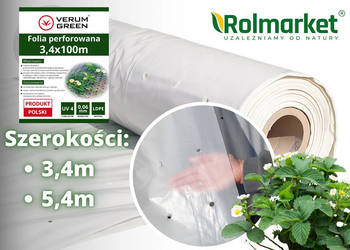Folia perforowana dziurkowana do okrywania upraw 3,4m 5,4m truskawki