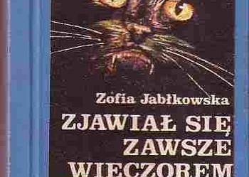 (5061) ZJAWIAŁ SIĘ ZAWSZE WIECZOREM- ZOFIA JABŁKOWSKA