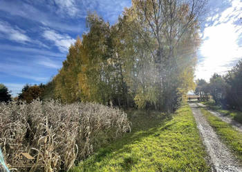 Ogłoszenie działka 1089m2 Kończyce Małe