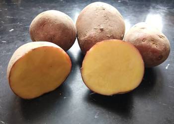 Sprzedam ziemniaki Bellarosa EKO cena 1,20 zl za 1kg