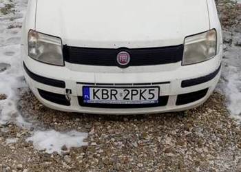 Sprzedam pande, panda