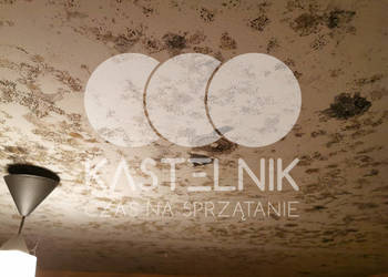 Odgrzybianie ścian Kuźnia Raciborska - Usuwanie grzybów i pleśni Odgrzybianie ścian Kuźnia Raciborska - Usuwanie grzybów i pleśni