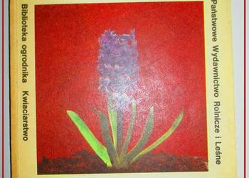 Uprawa cebulowych i bulwiastych roślin ozdobnych/uprawa