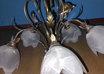 Żyrandol / klosz / oświetlenie