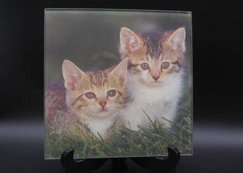 Obrazek na szkle, przedstawia parę małych kotów