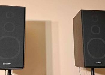 Kolumny stereo Sharp CP-W5H
