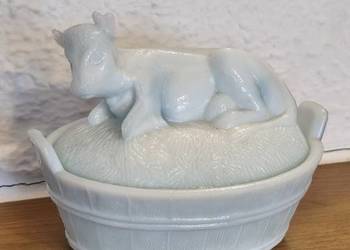 Krowa maselnica lattimo Ząbkowice