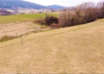 8,5ha koło Ustrzyk Dolnych -11 działek- 8000zł/ar
