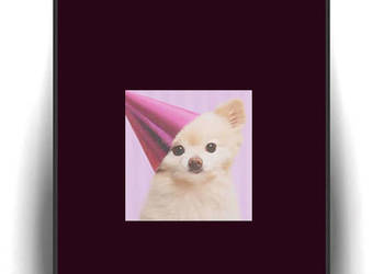 chihuahua plakat A4, śmieszny obrazek z psem, pies plakat