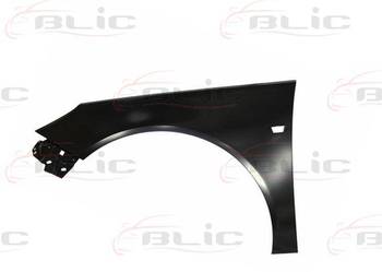 BŁOTNIK PRZEDNI LE/PR - OPEL INSIGNIA, 09/08->