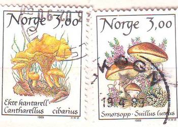 Zn. Norwegia Mi 1012, 3 kas 1989