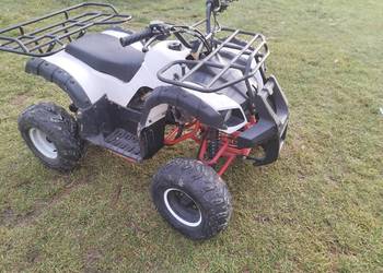 Mam do sprzedania guada