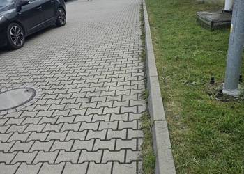 Usługi ogrodnicze